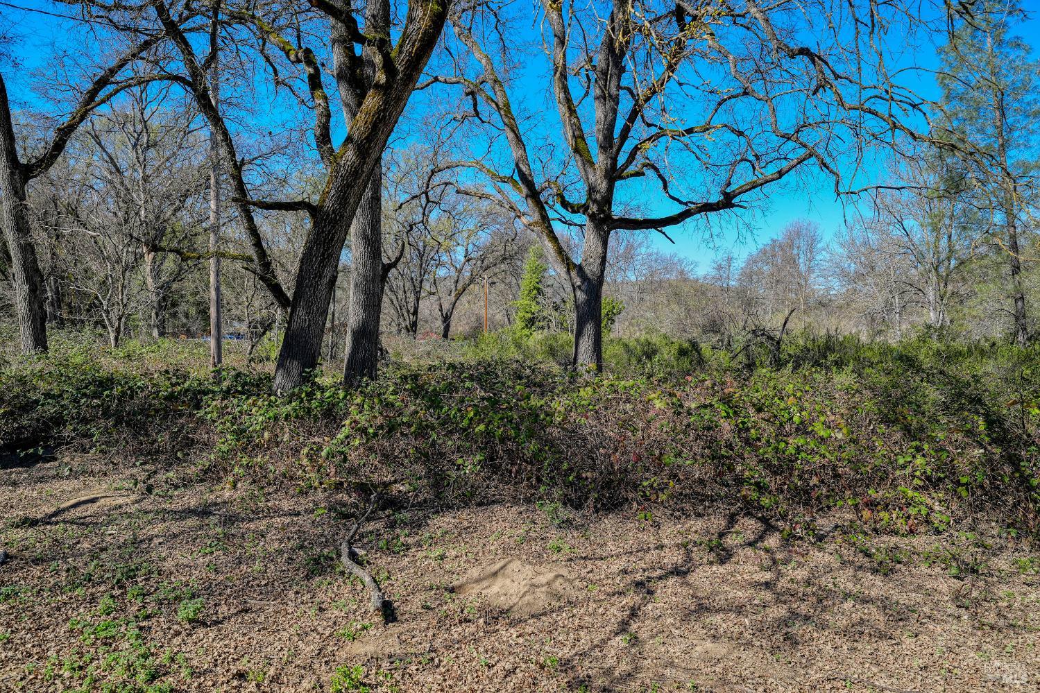 2393 New Long Valley Road Clearlake Oaks CA 95423