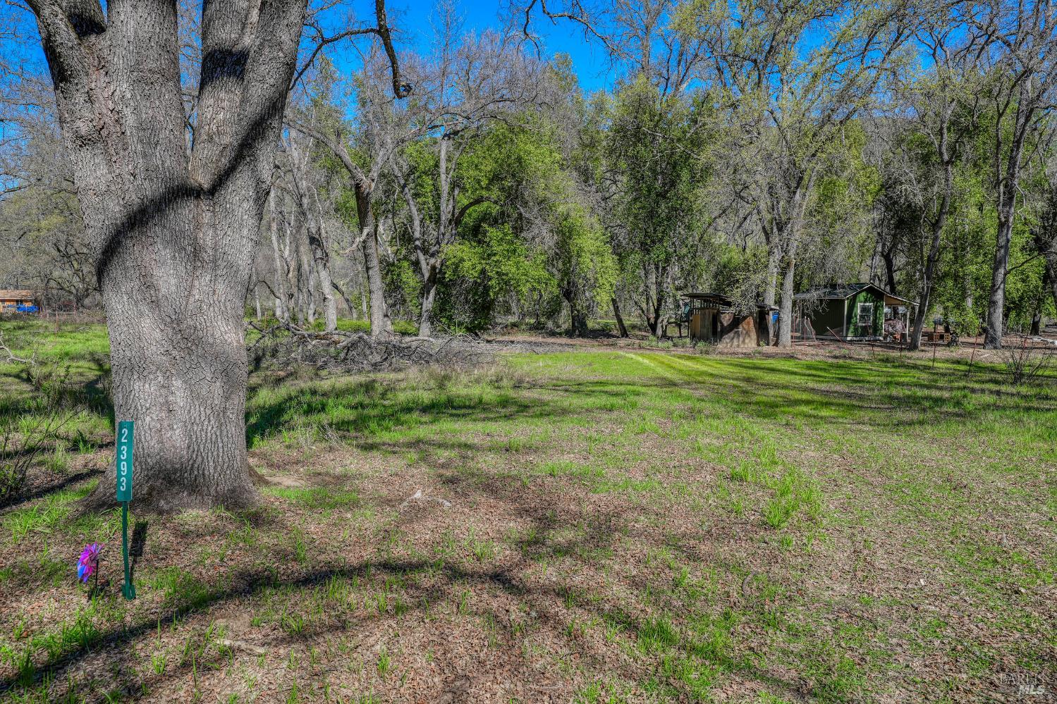 2393 New Long Valley Road Clearlake Oaks CA 95423