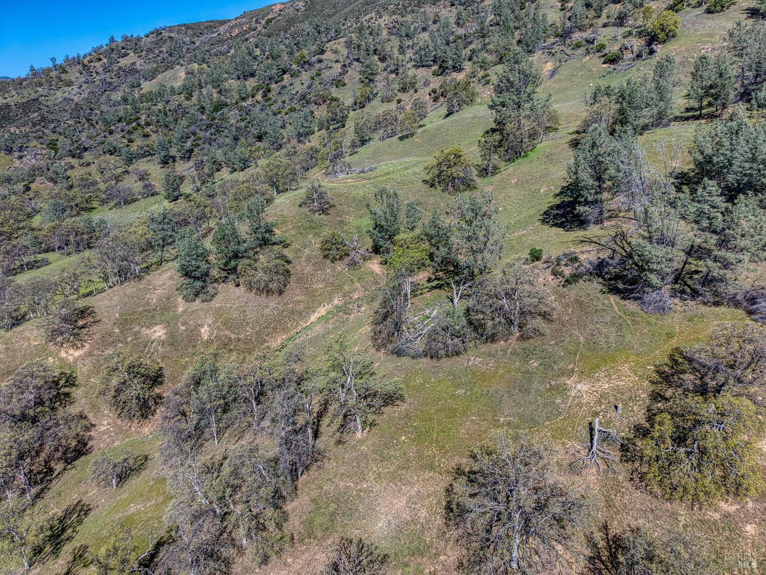 2393 New Long Valley Road Clearlake Oaks CA 95423