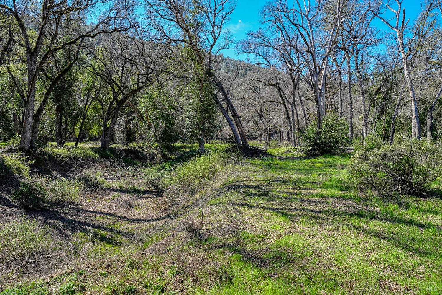 2393 New Long Valley Road Clearlake Oaks CA 95423