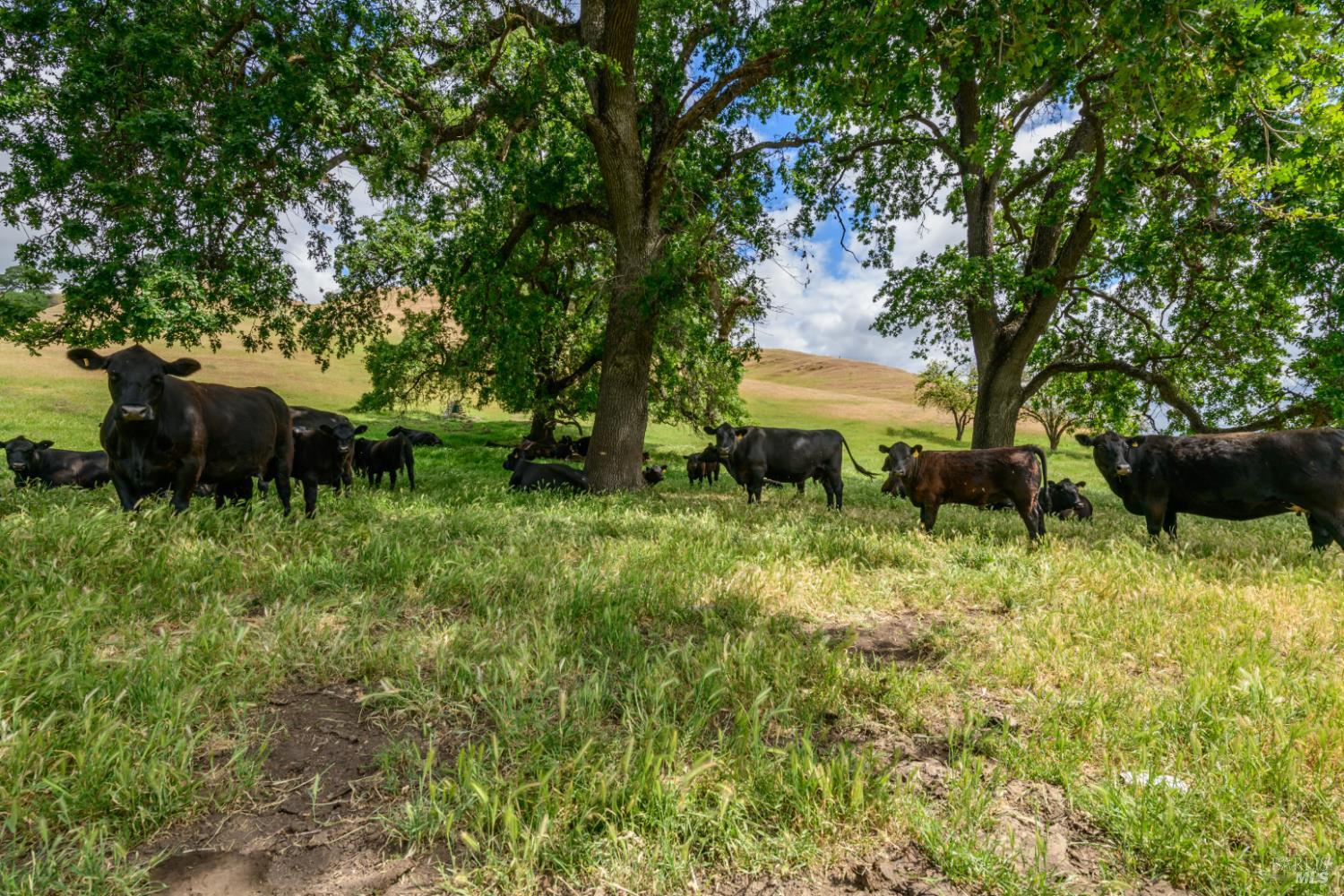 0 Gibson Canyon Road Vacaville CA 95688