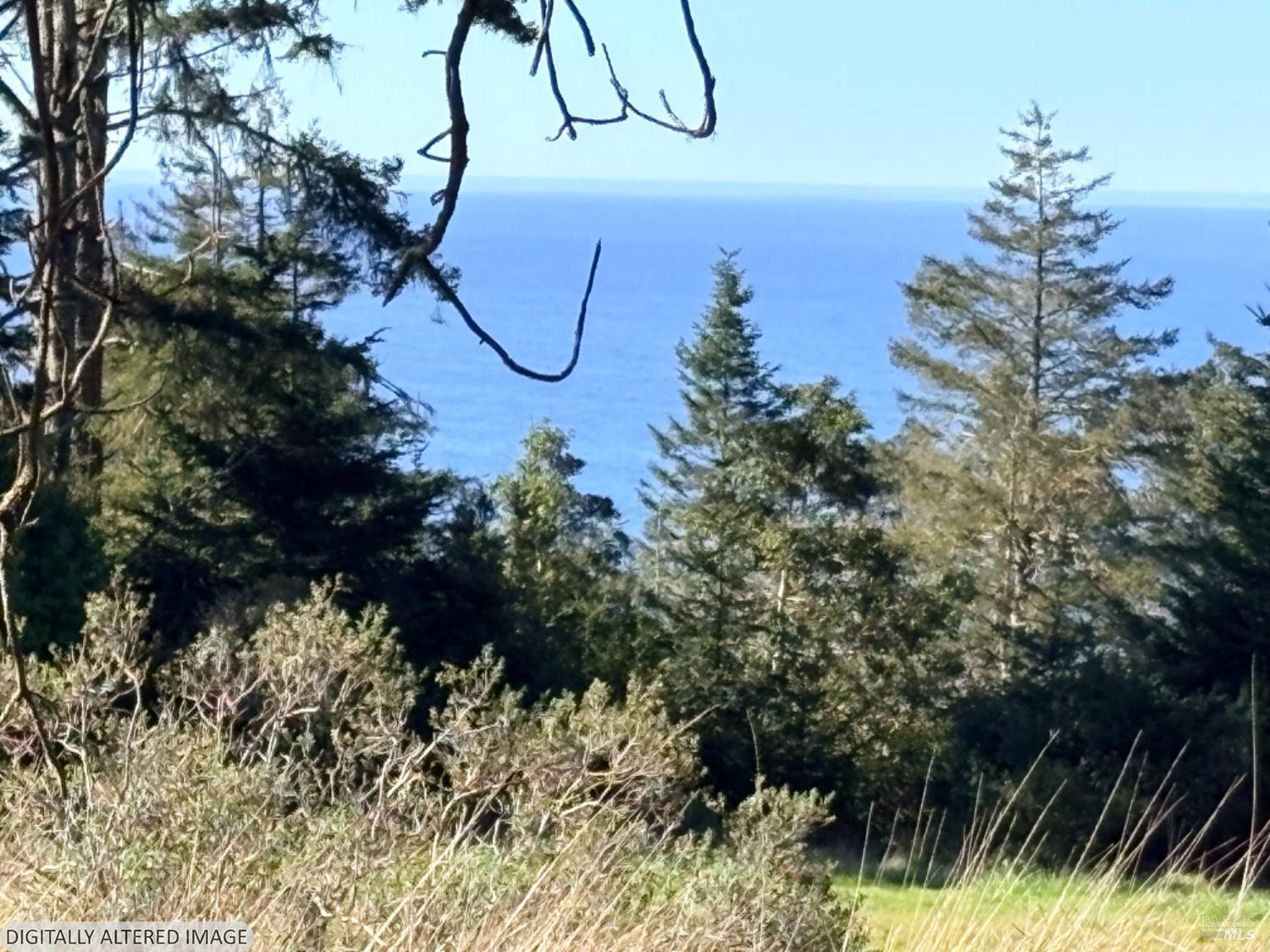 36359 Timber Ridge Road The Sea Ranch CA 95497