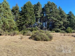 36359 Timber Ridge Road The Sea Ranch CA 95497