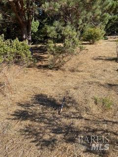 36359 Timber Ridge Road The Sea Ranch CA 95497