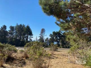 36359 Timber Ridge Road The Sea Ranch CA 95497