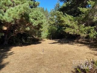 36359 Timber Ridge Road The Sea Ranch CA 95497
