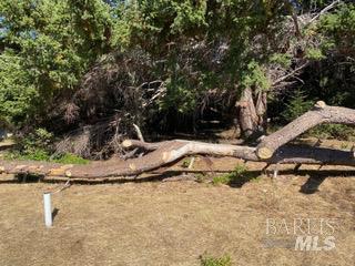 36359 Timber Ridge Road The Sea Ranch CA 95497