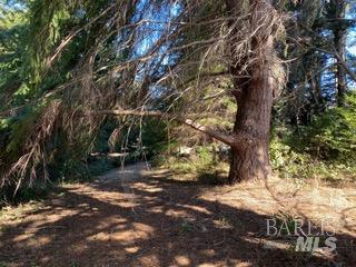 36359 Timber Ridge Road The Sea Ranch CA 95497