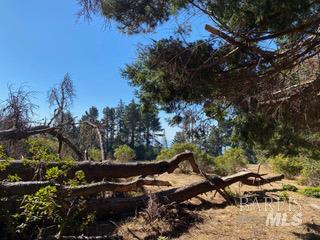 36359 Timber Ridge Road The Sea Ranch CA 95497