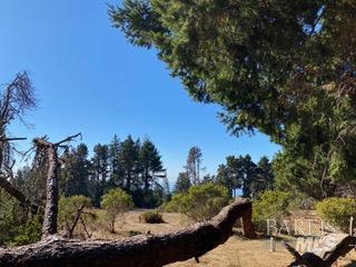 36359 Timber Ridge Road The Sea Ranch CA 95497