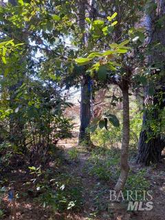 36359 Timber Ridge Road The Sea Ranch CA 95497