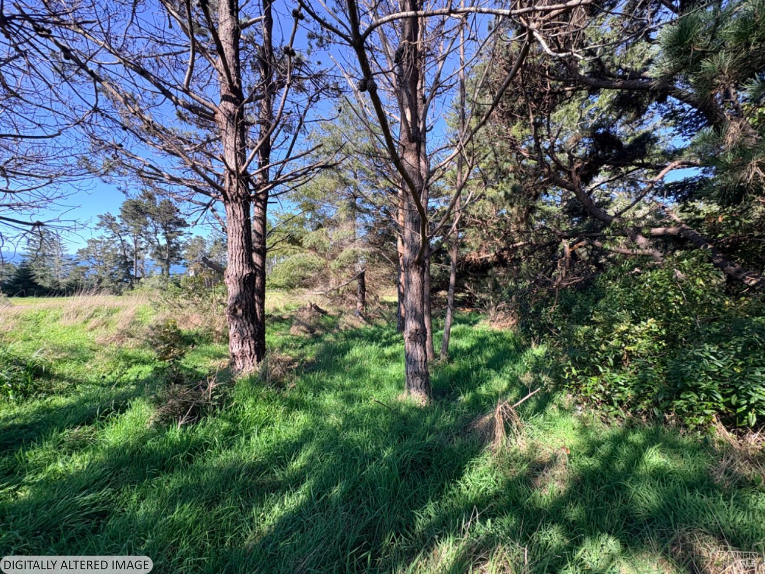 36359 Timber Ridge Road The Sea Ranch CA 95497