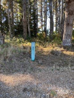 36359 Timber Ridge Road The Sea Ranch CA 95497