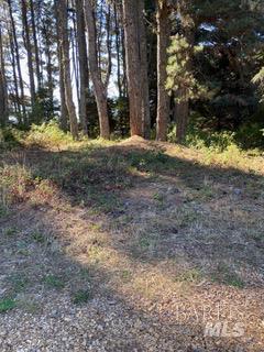 36359 Timber Ridge Road The Sea Ranch CA 95497
