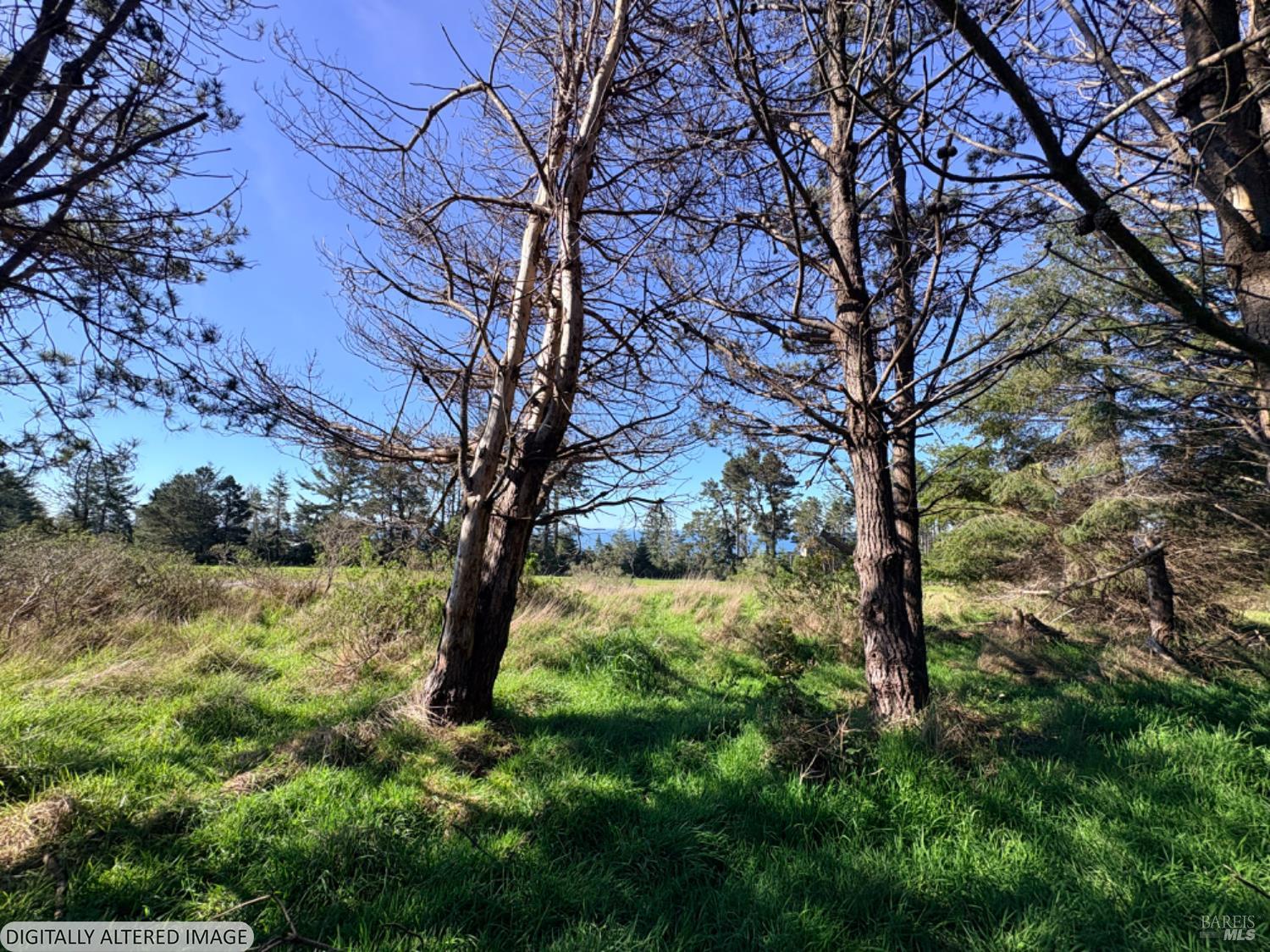 36359 Timber Ridge Road The Sea Ranch CA 95497