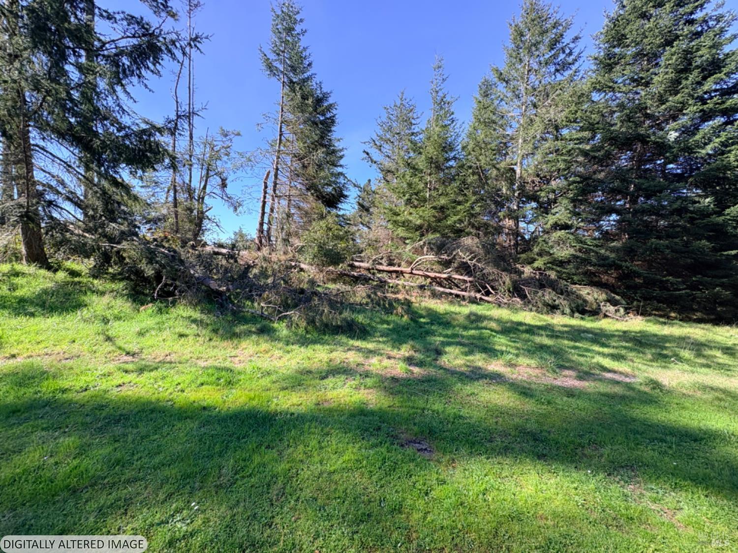 36359 Timber Ridge Road The Sea Ranch CA 95497