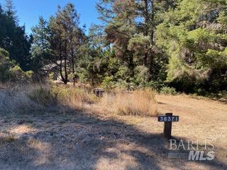 36359 Timber Ridge Road The Sea Ranch CA 95497
