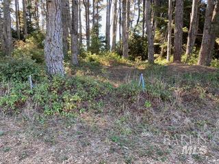 36359 Timber Ridge Road The Sea Ranch CA 95497
