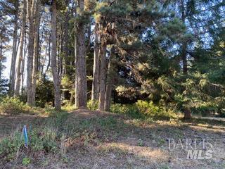 36359 Timber Ridge Road The Sea Ranch CA 95497