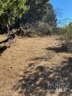 36359 Timber Ridge Road The Sea Ranch CA 95497