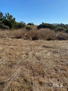 36359 Timber Ridge Road The Sea Ranch CA 95497