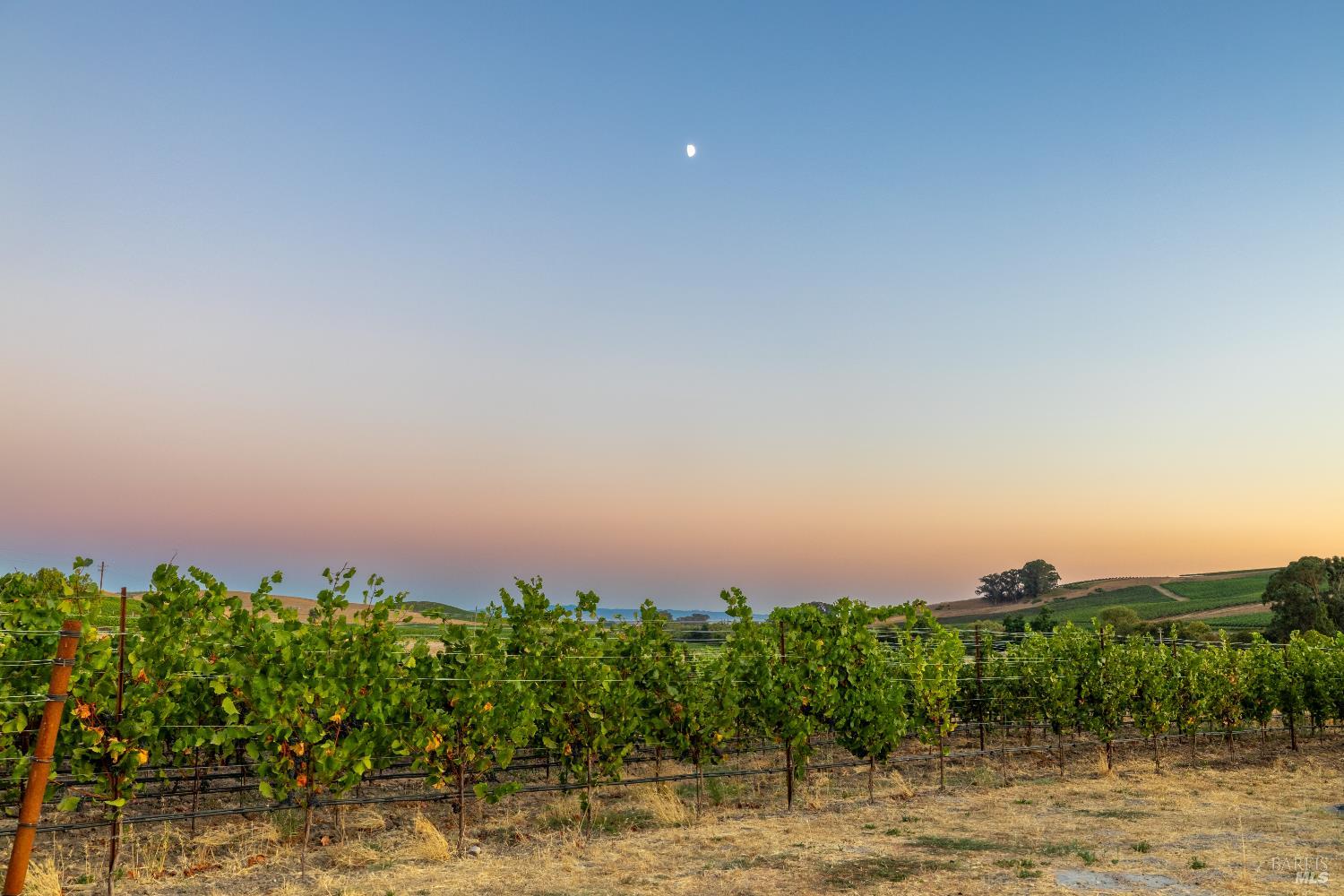 1299 Duhig Road Napa CA 94559