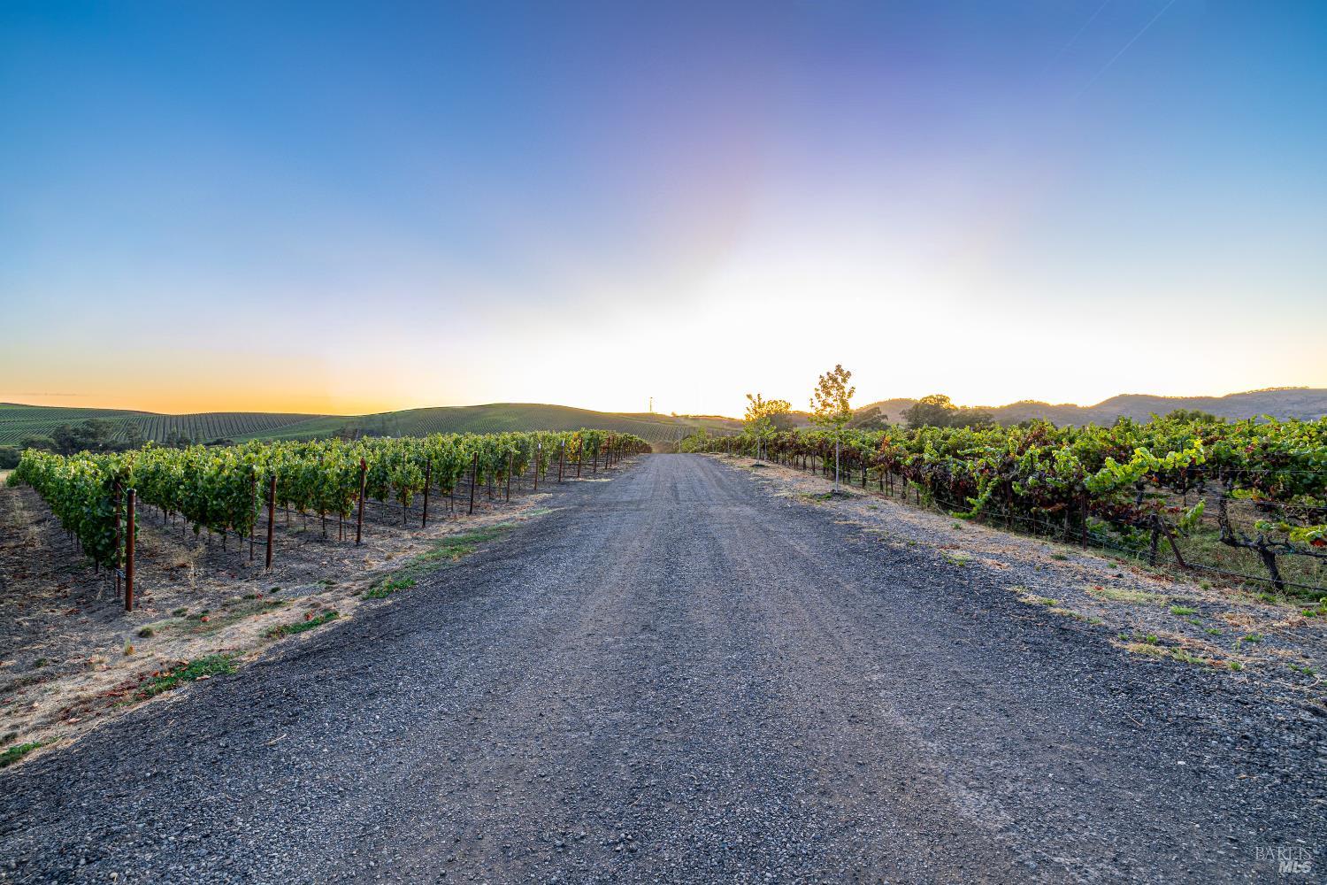 1299 Duhig Road Napa CA 94559
