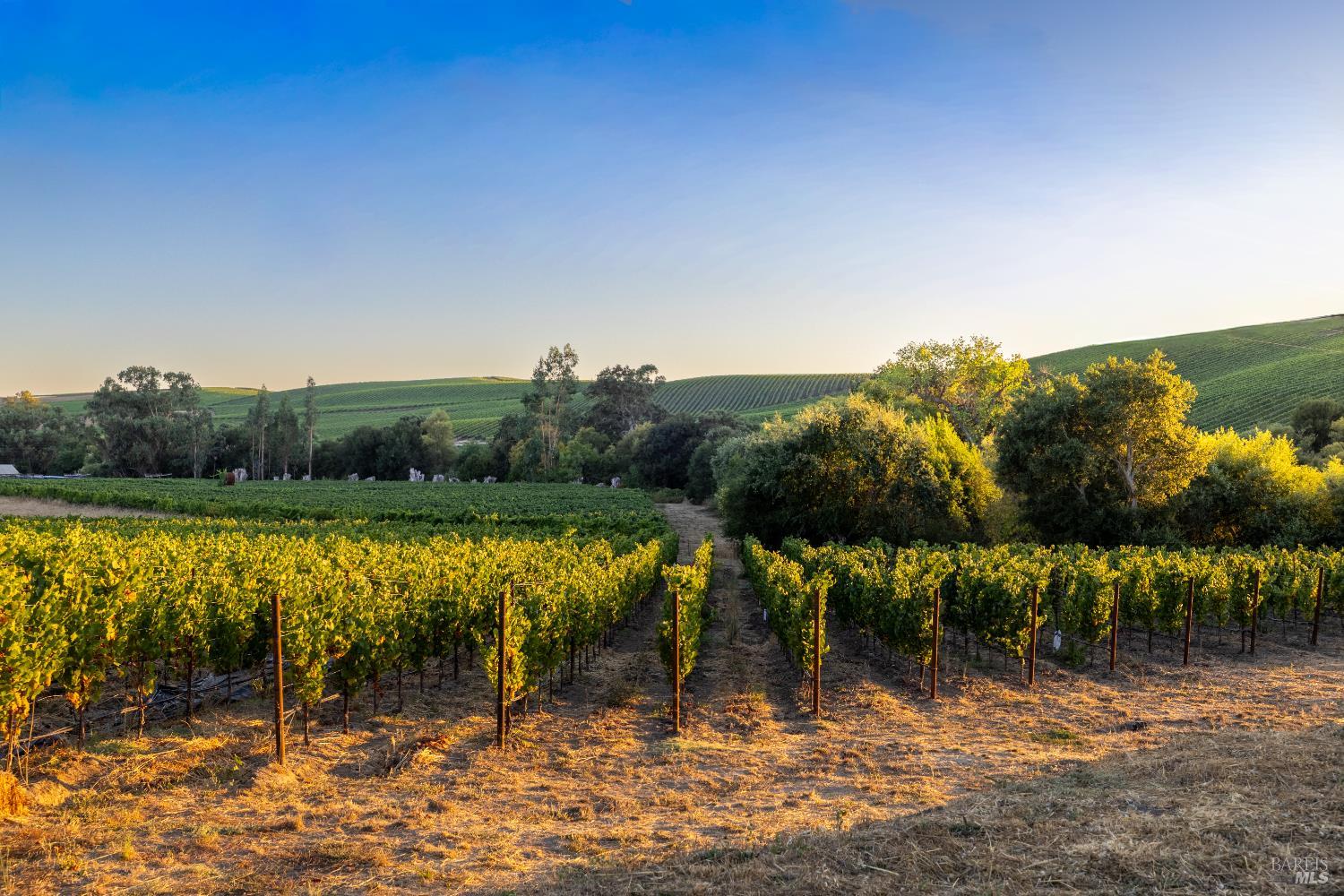 1299 Duhig Road Napa CA 94559