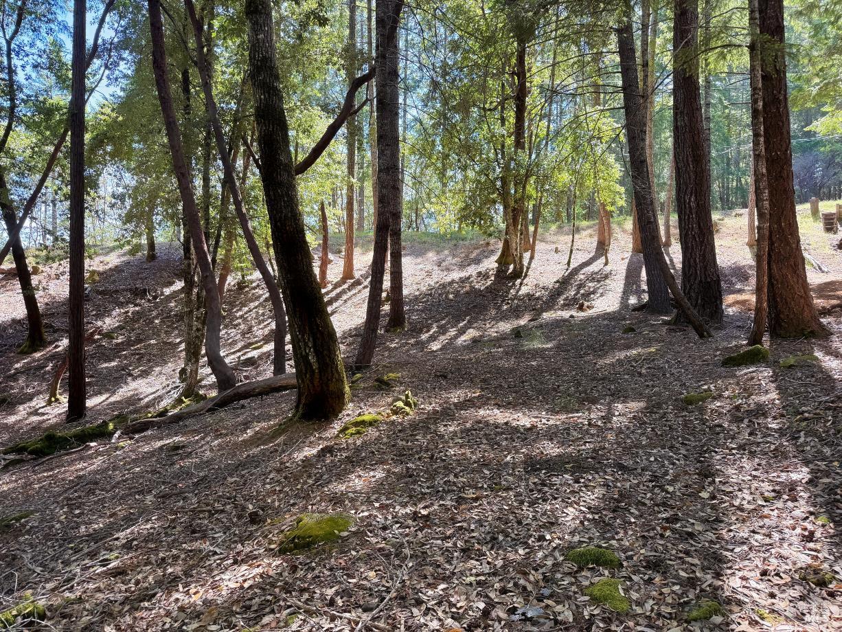 26931 Bear Drive Willits CA 95490