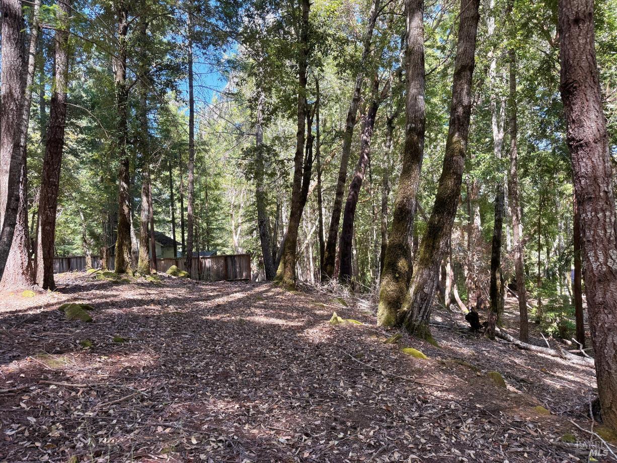 26931 Bear Drive Willits CA 95490