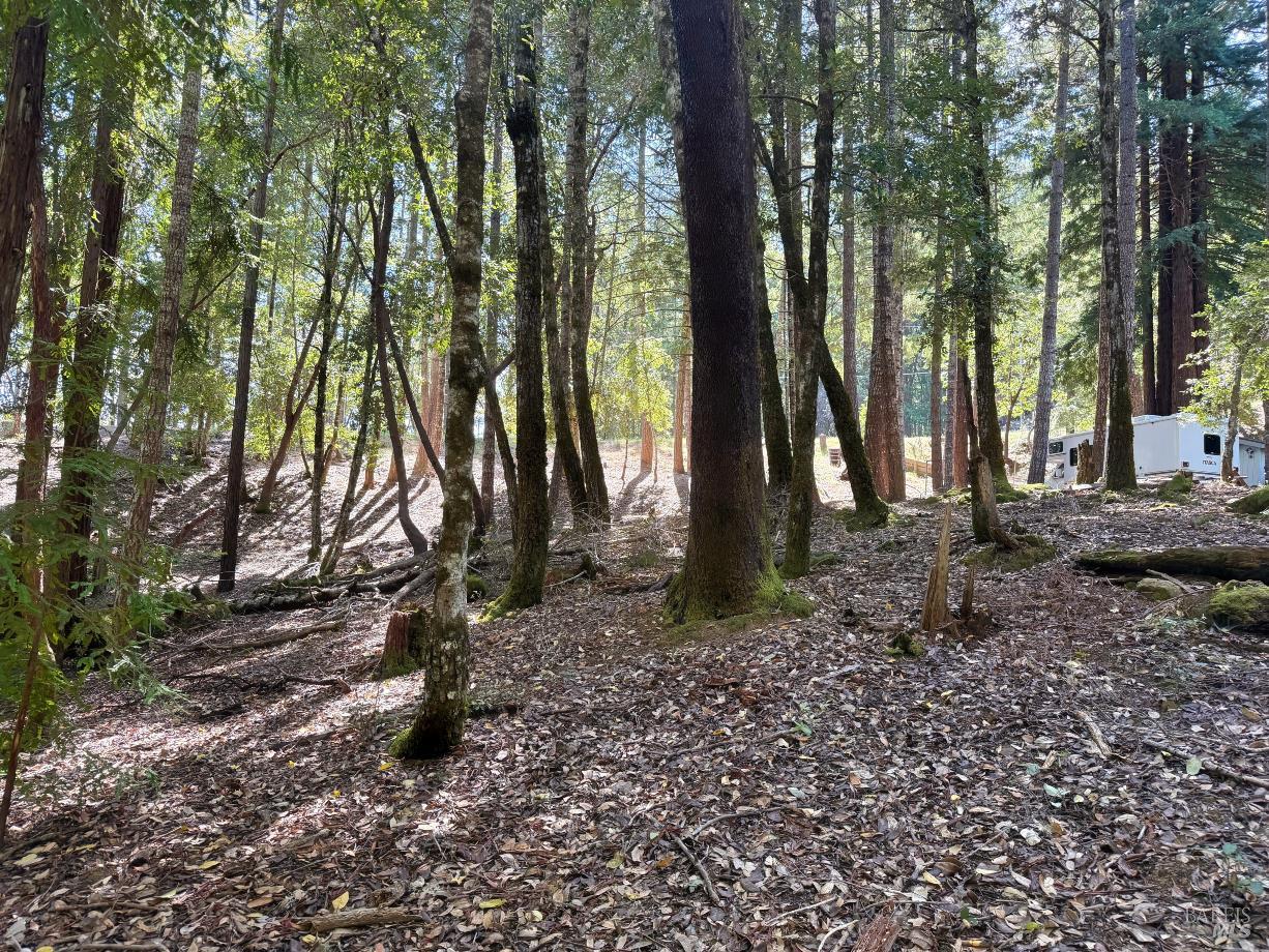 26931 Bear Drive Willits CA 95490