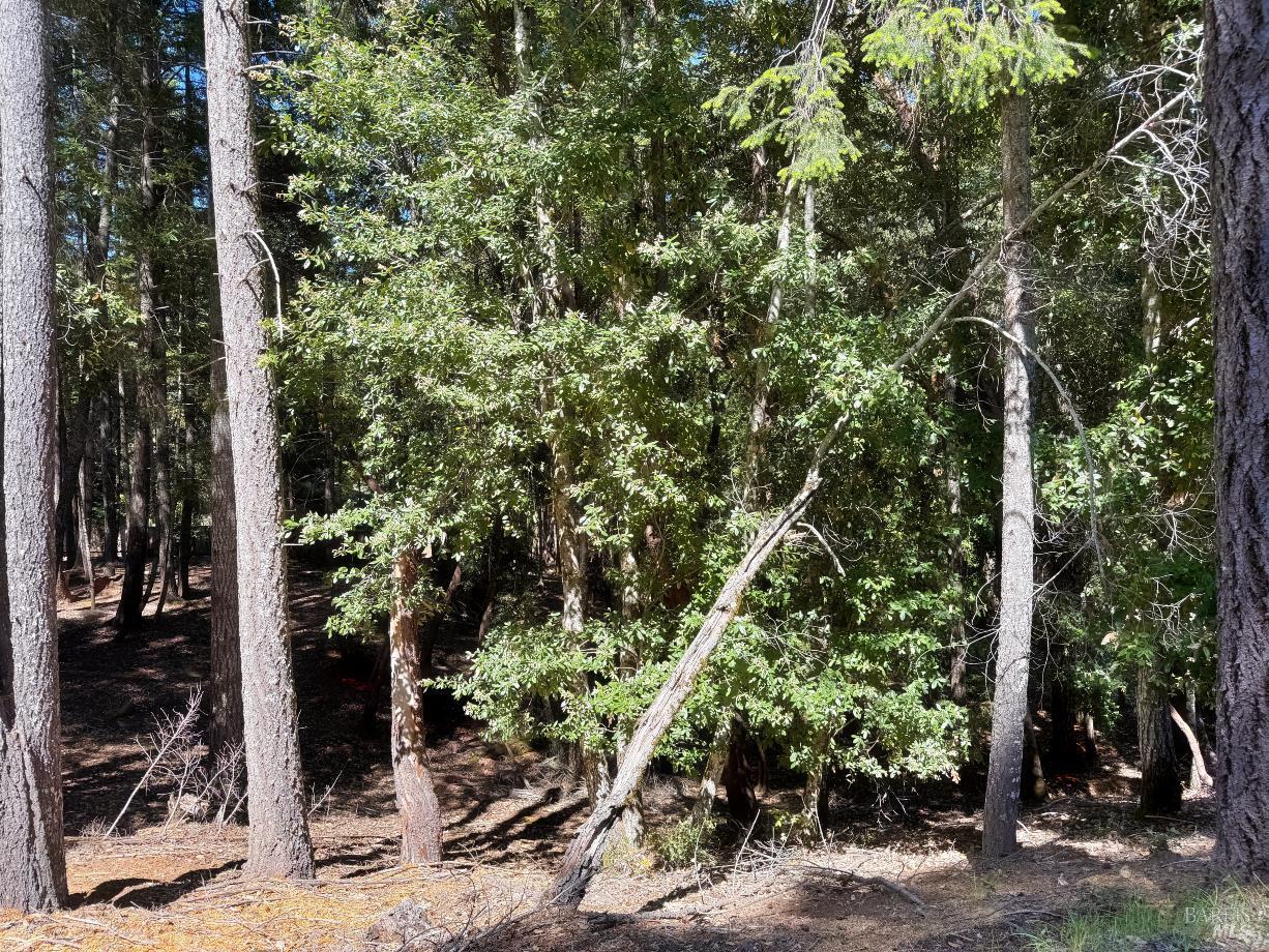 26931 Bear Drive Willits CA 95490