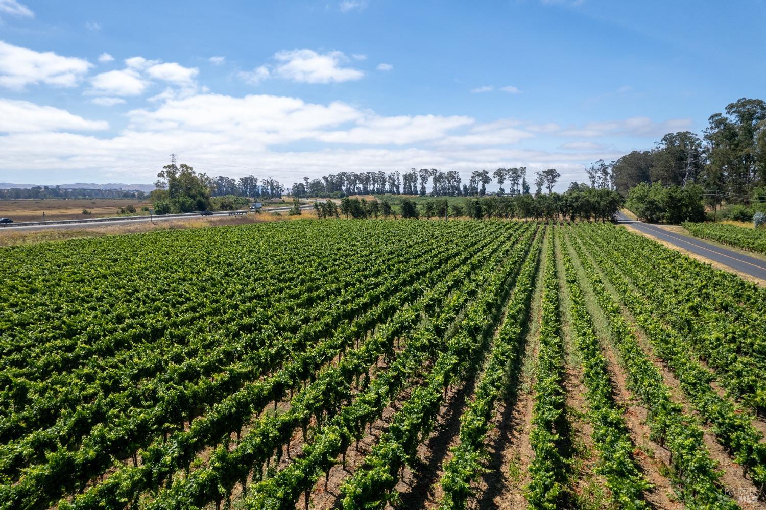 1000 Stanly Lane Napa CA 94559
