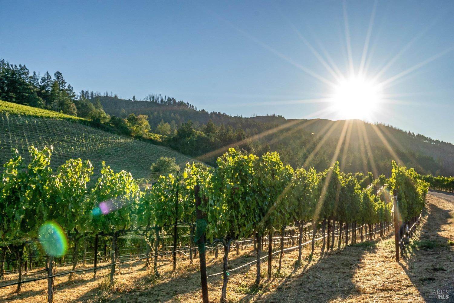 2340 Mount Veeder Road Napa CA 94558