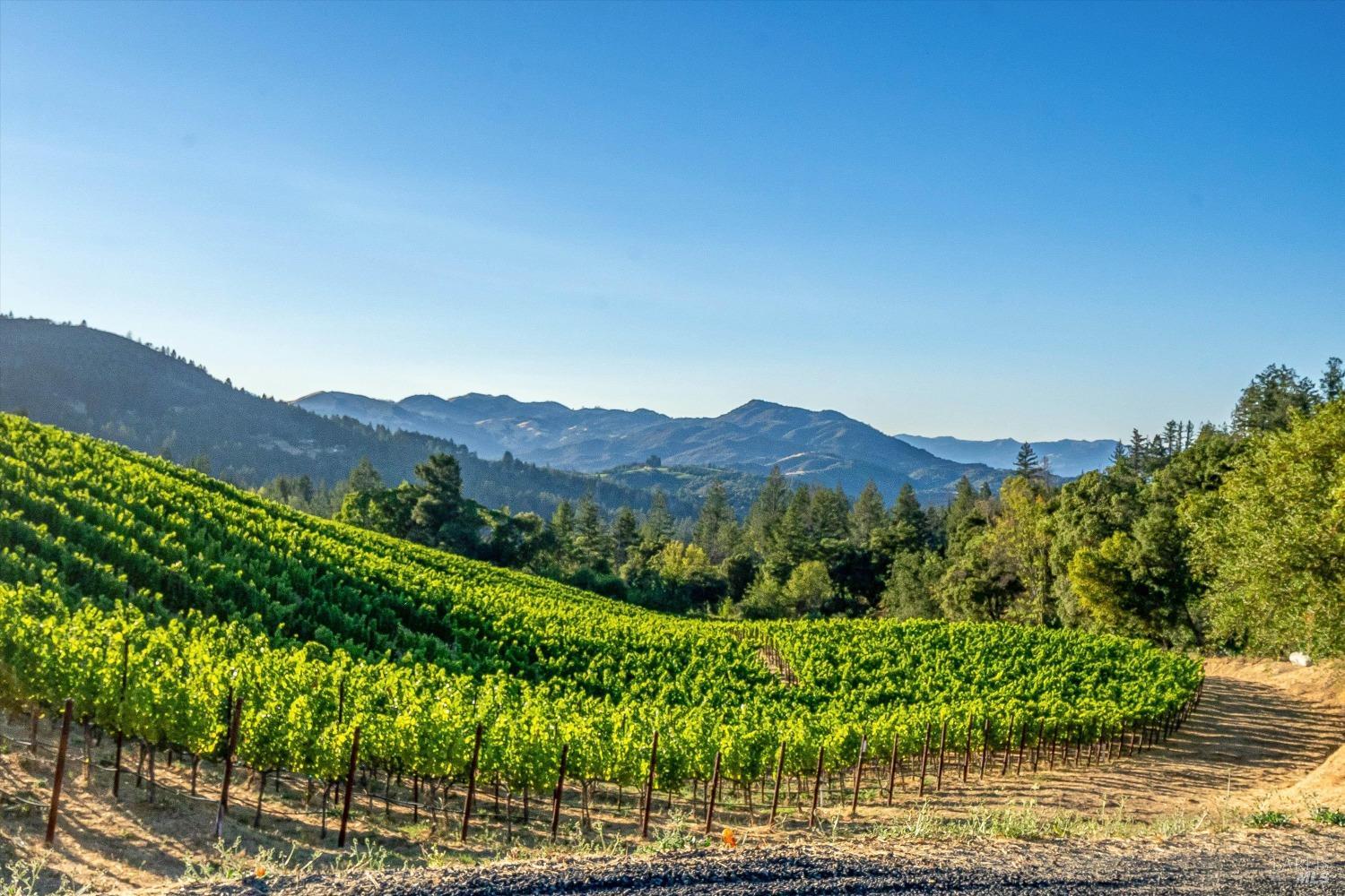 2340 Mount Veeder Road Napa CA 94558