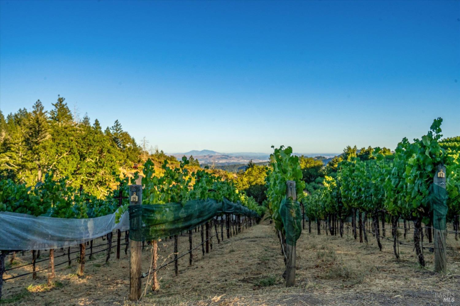 2340 Mount Veeder Road Napa CA 94558