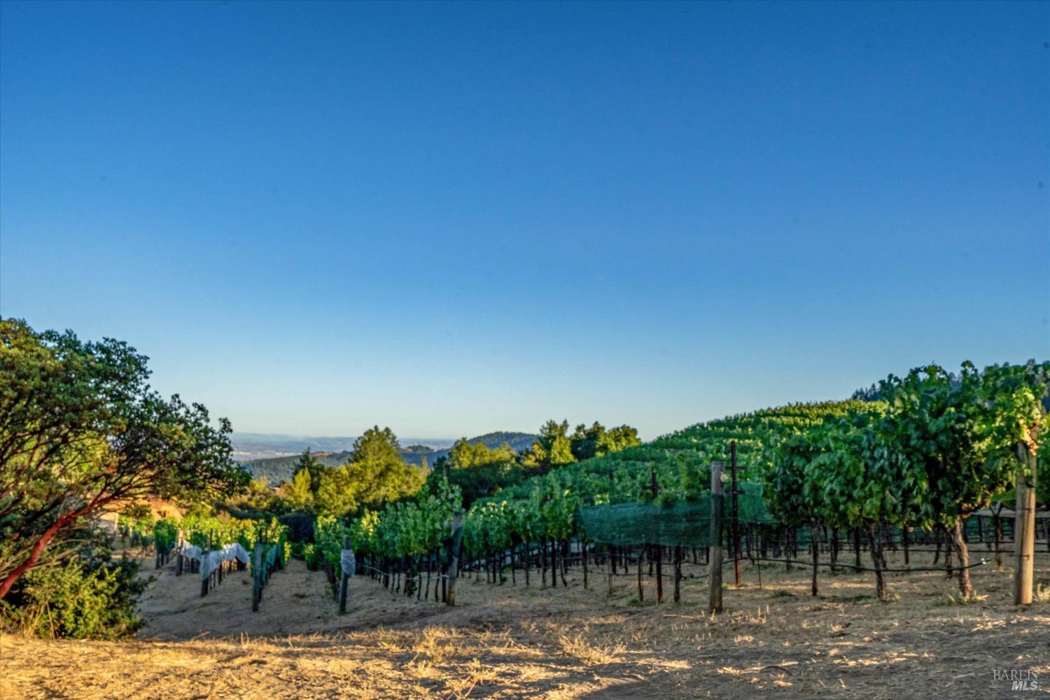 2340 Mount Veeder Road Napa CA 94558