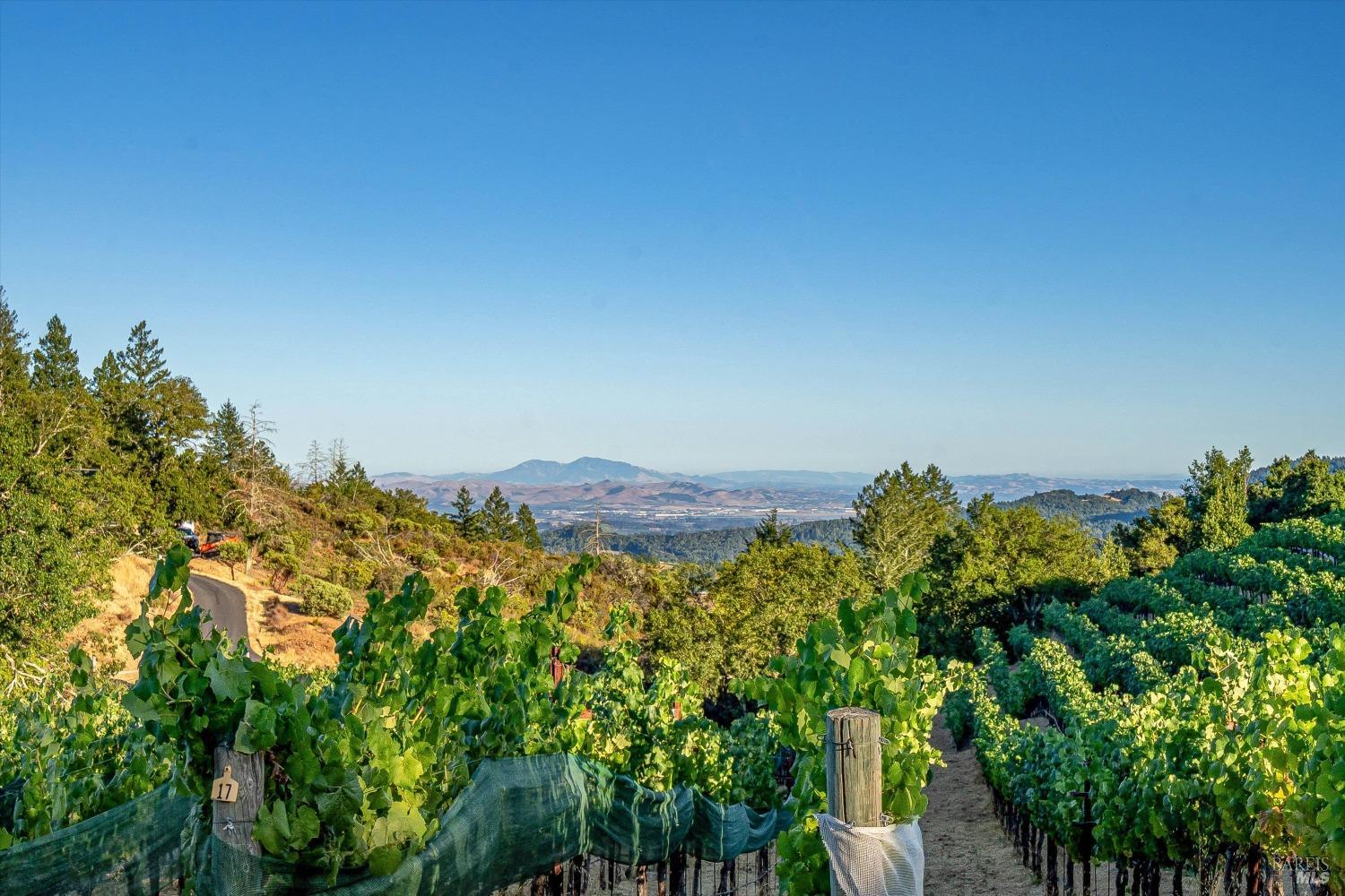 2340 Mount Veeder Road Napa CA 94558