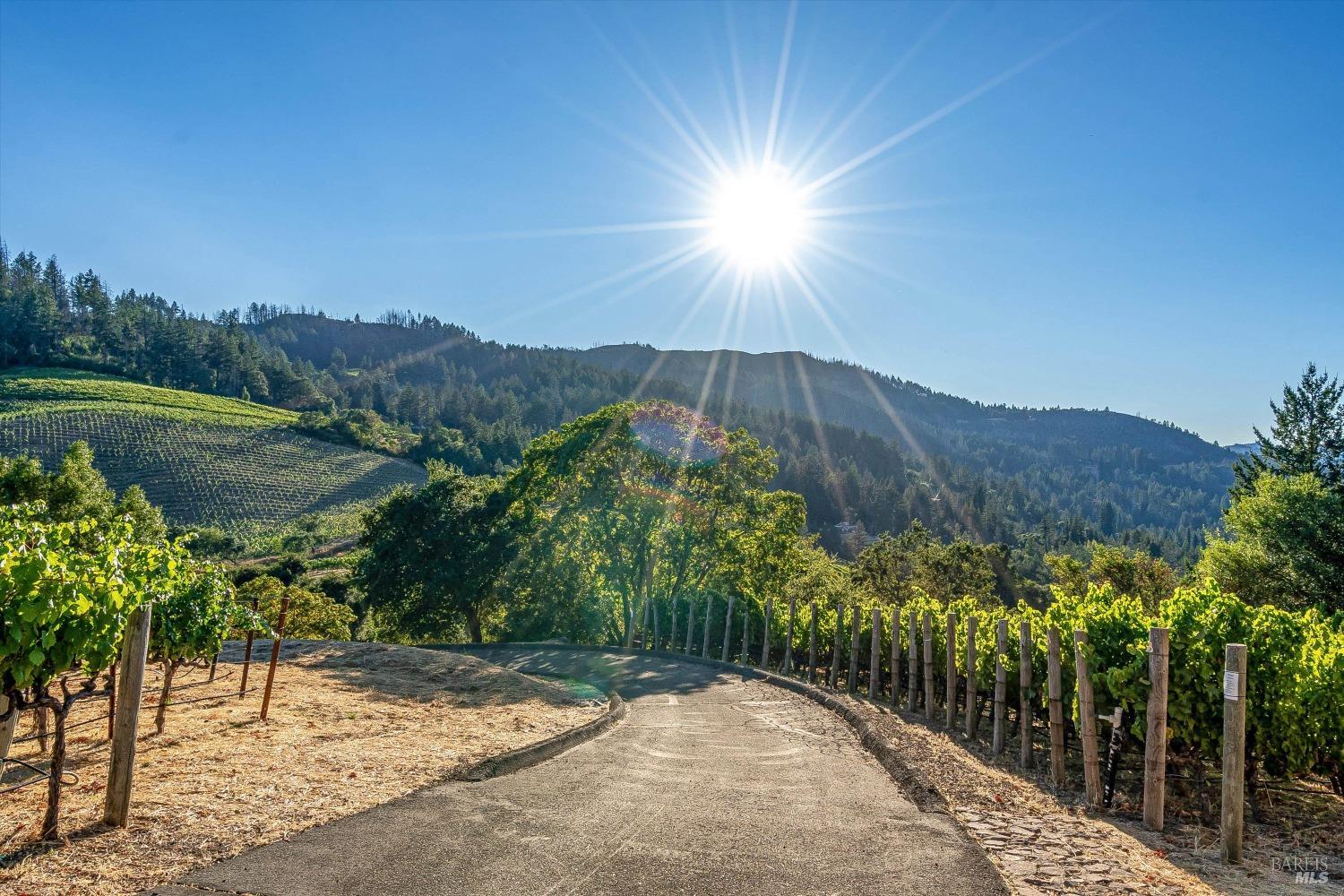 2340 Mount Veeder Road Napa CA 94558