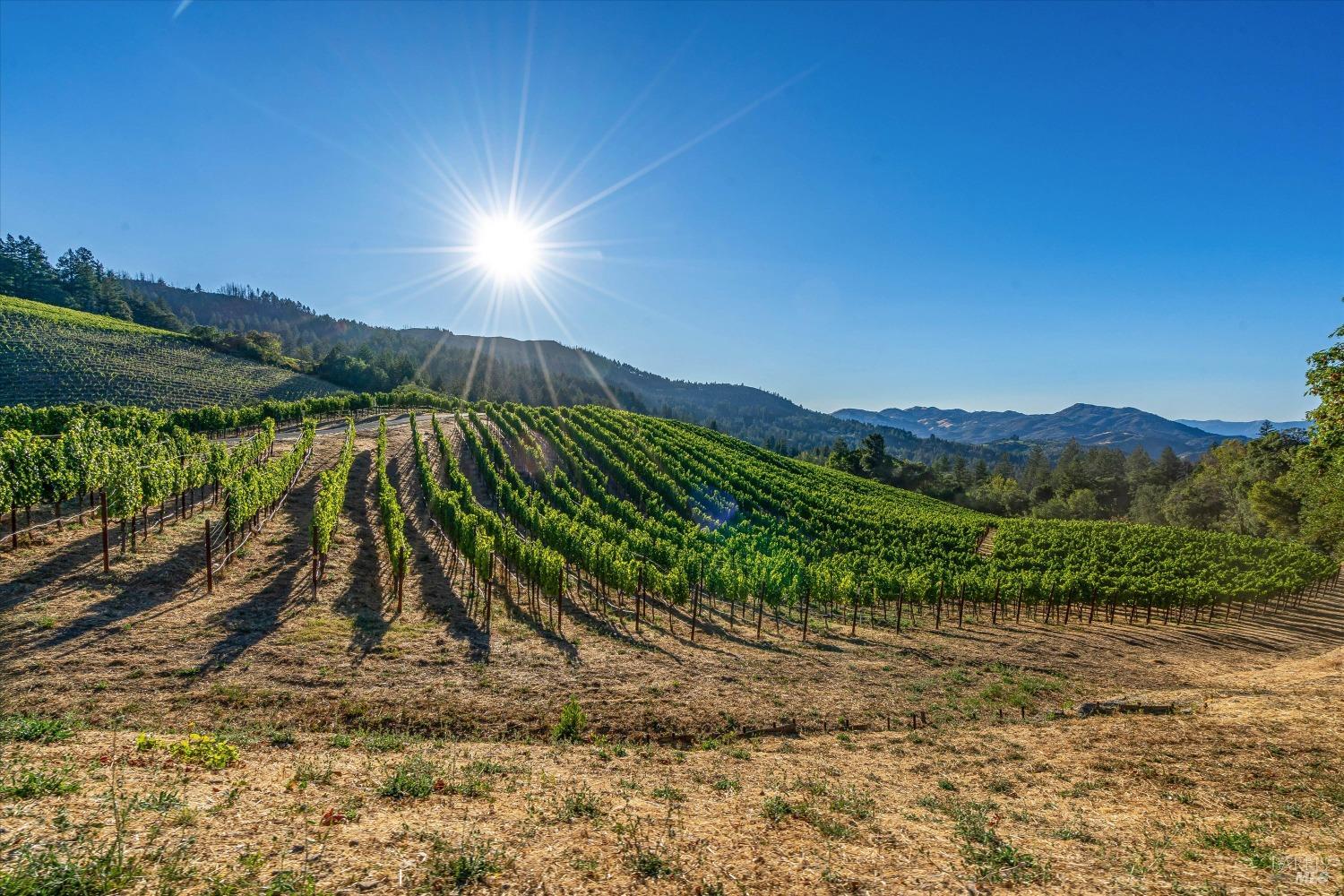 2340 Mount Veeder Road Napa CA 94558