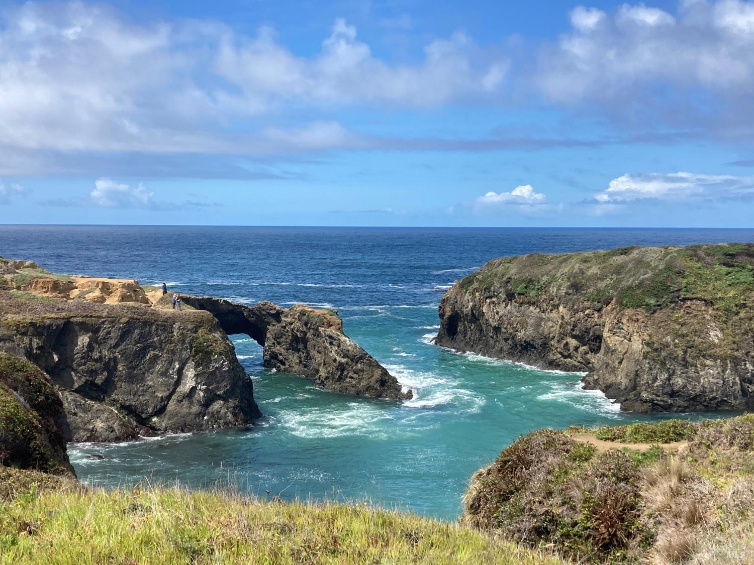 44861 Baywood Drive Mendocino CA 95460