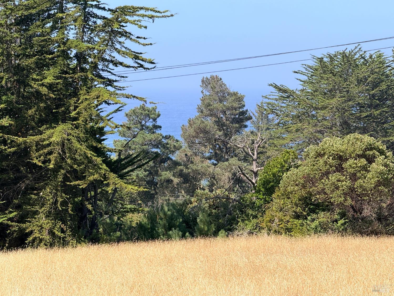44861 Baywood Drive Mendocino CA 95460