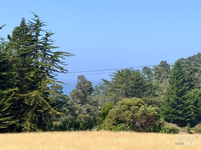 44861 Baywood Drive Mendocino CA 95460