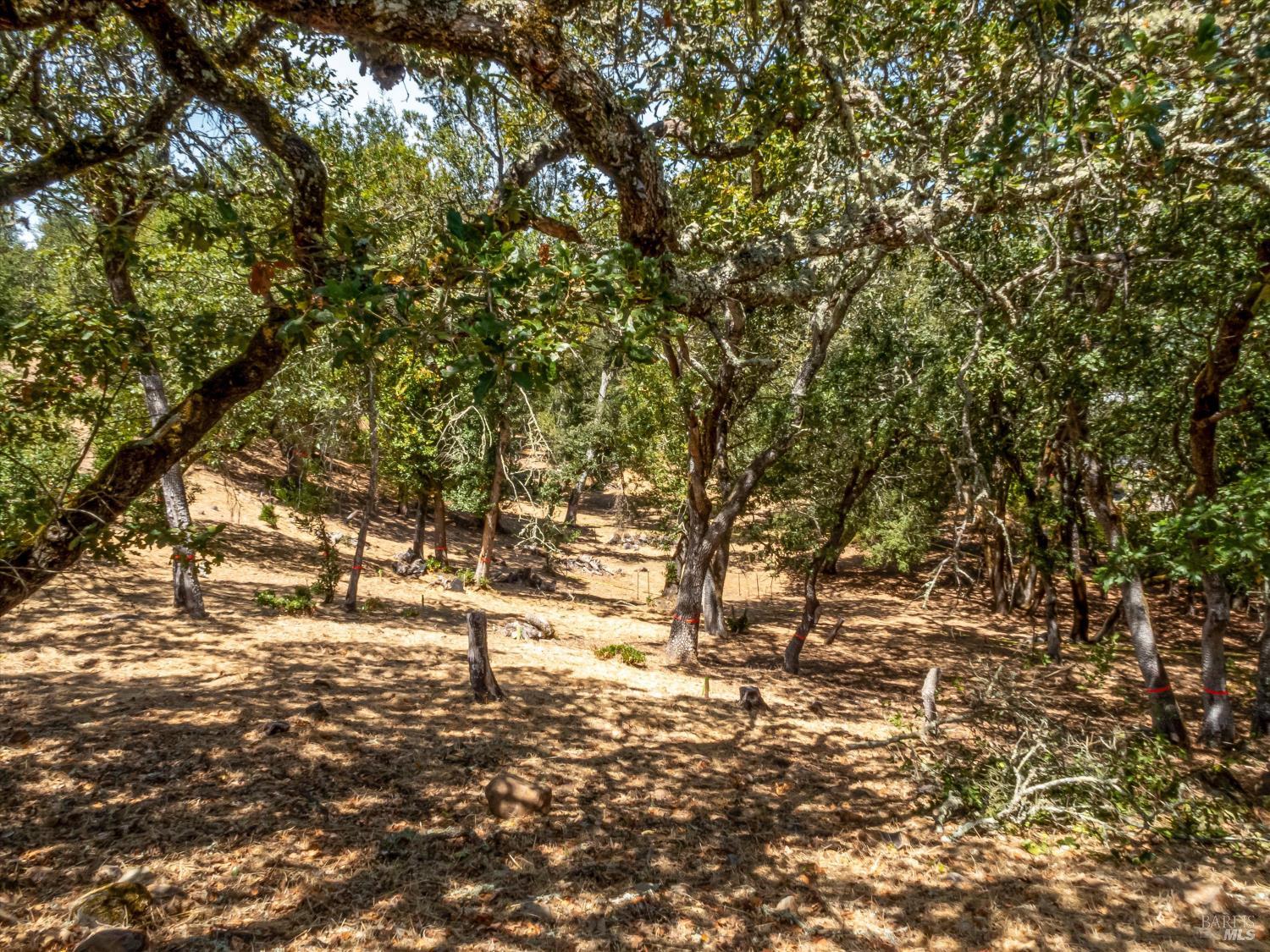 2869 Bristol Road Kenwood CA 95452