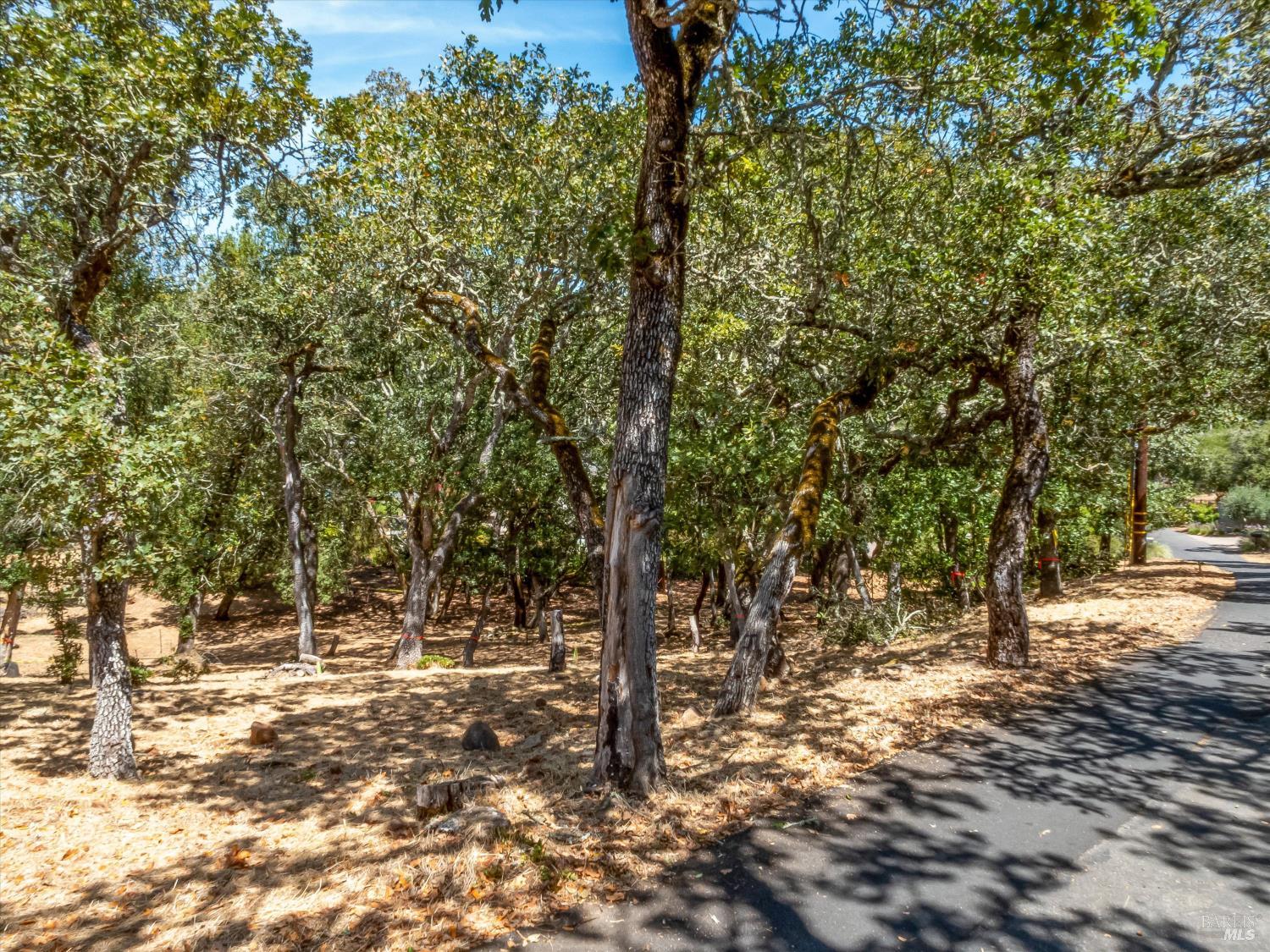 2869 Bristol Road Kenwood CA 95452