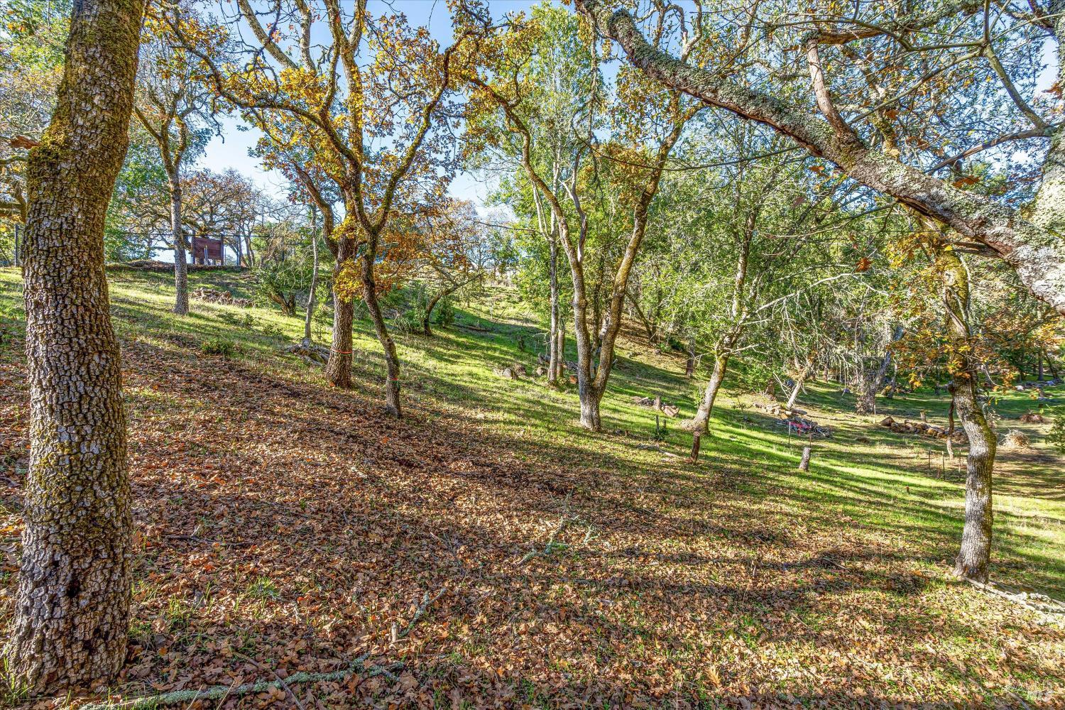 2869 Bristol Road Kenwood CA 95452