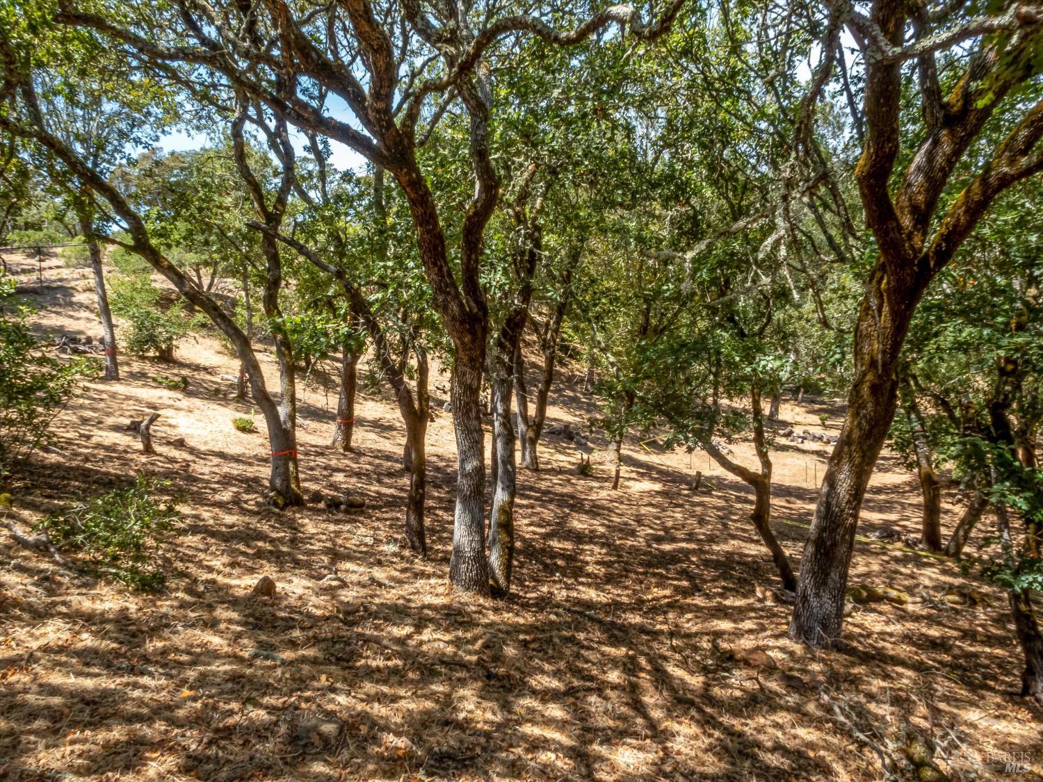 2869 Bristol Road Kenwood CA 95452