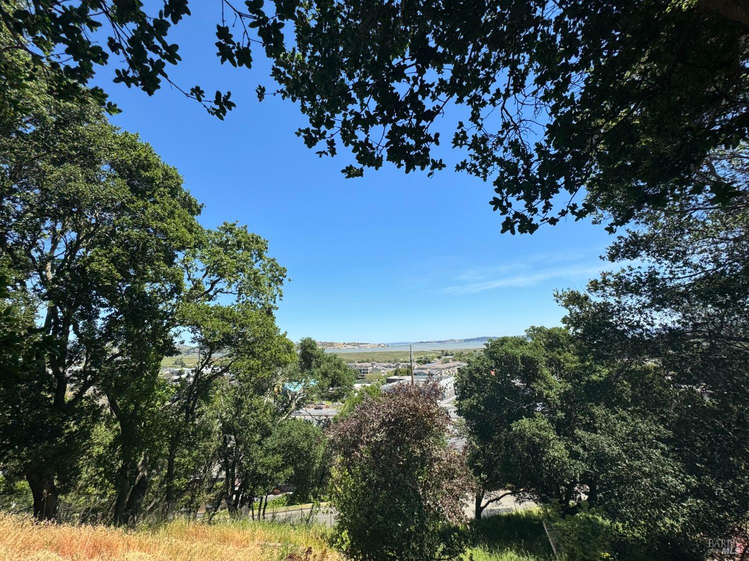 815 Meadowsweet Drive Corte Madera CA 94925