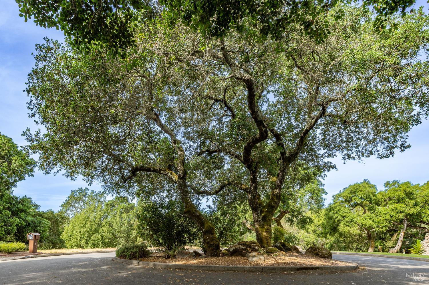 0 Rim Rock Way Santa Rosa CA 95404