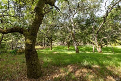 0 Rim Rock Way Santa Rosa CA 95404
